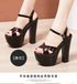 Elegant Platform Sandals for Women - Sexy High Heel Luxury Footwear